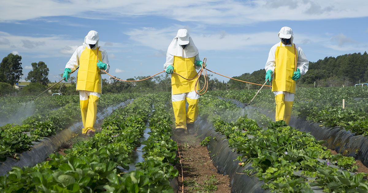 Pesticidele au dus la zeci de decese în Moldova.
