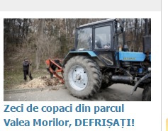 Zeci de copaci din parcul Valea Morilor, defrișați. Foto: publika.md