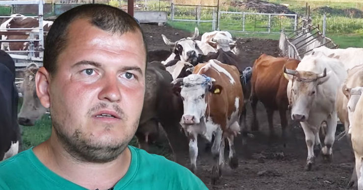 Фермер из Единец на грани разорения из-за роста цен: Я в отчаянии. Коллаж: Point.md