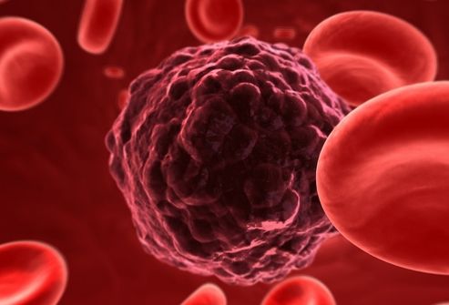 В процессе эксперимента планируется ввести три разные дозы модифицированных Т-лимфоцитов.