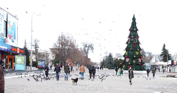 В Бельцах установили новогоднюю елку, но горожане праздника пока не чувствуют.