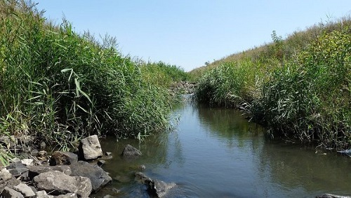 В вопросе с расчисткой реки Бык существуют серьезные проблемы.