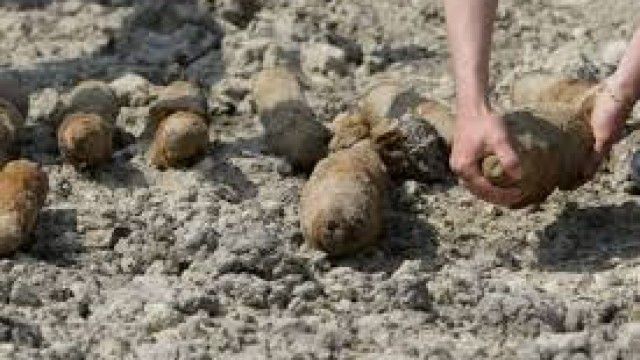 Șapte proiectile explozive, descoperite într-o pădurice din orăşelul Durleşti. Foto: guraialomitei.com