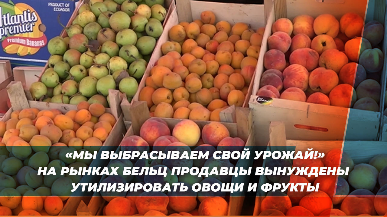 На рынках Бельц продавцы вынуждены утилизировать овощи и фрукты.