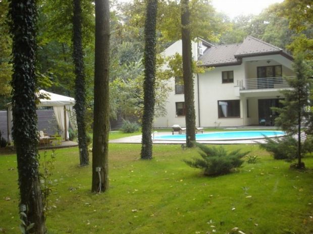 Arenda fondului forestier ar putea fi interzisă în Moldova. Foto-simbol: perfectcasa.ro