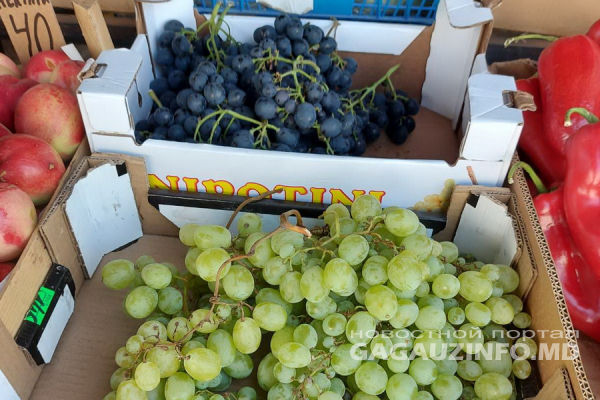 На рынке Комрата продают привозной виноград по 90 леев за килограмм.