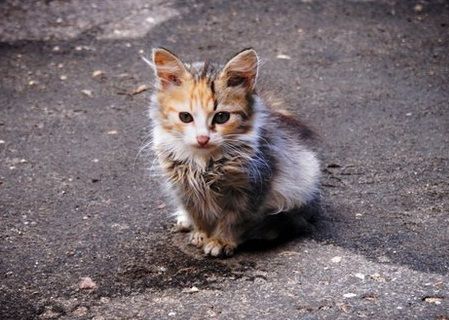 Парню грозит лишение свободы сроком до одного года.