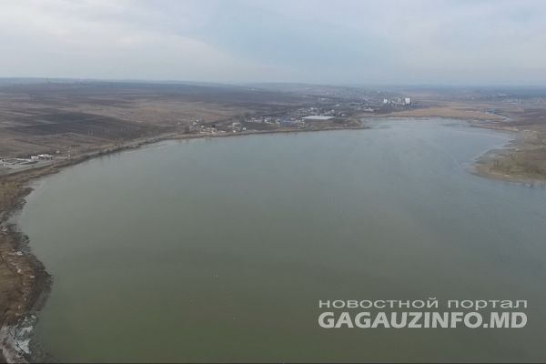 Жителей Комрата призвали не кормить животных рыбой, пойманной в комратском водохранилище.