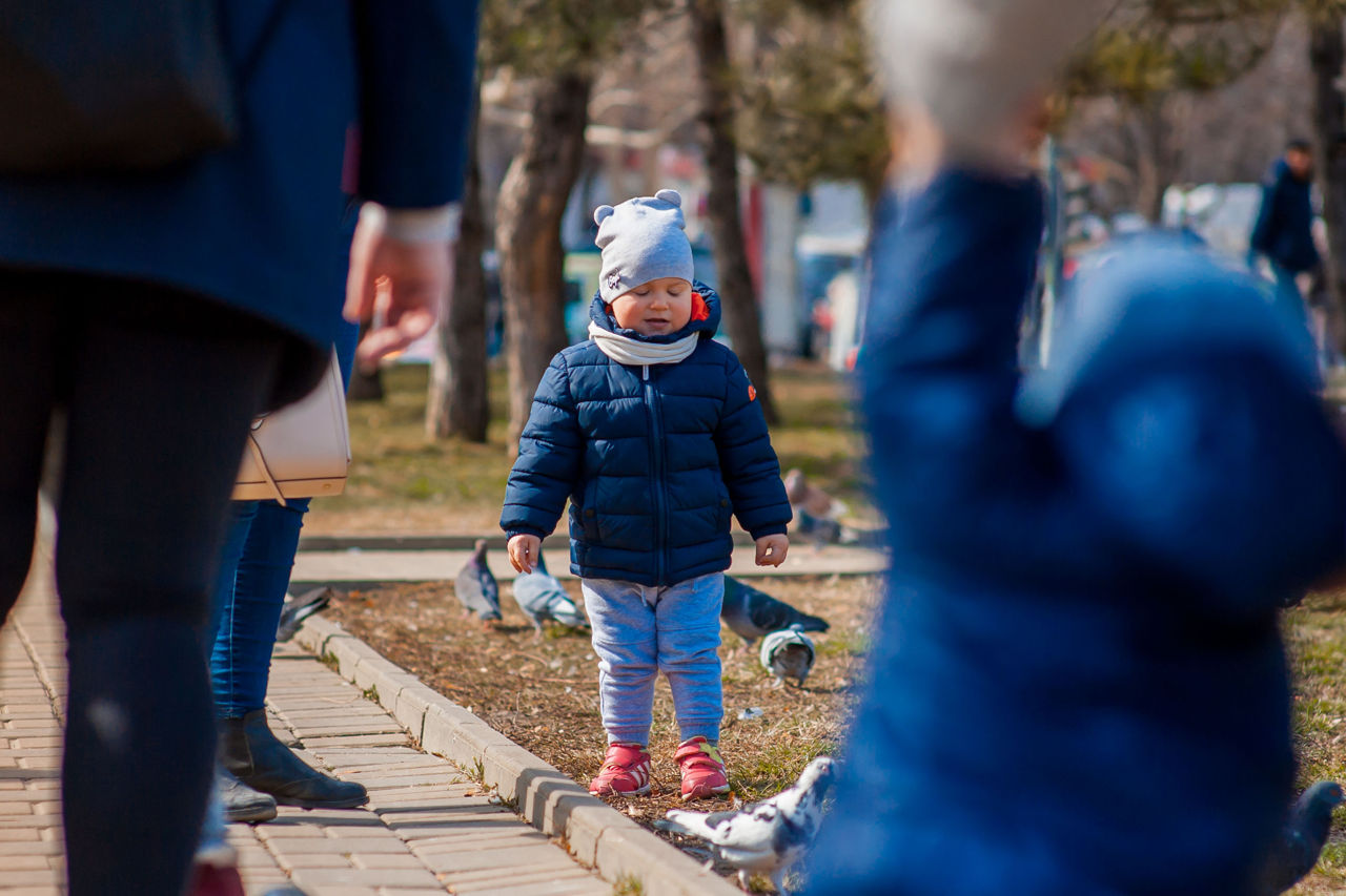 В Молдове аномально теплая погода текущего января бывает раз в 20-30 лет.