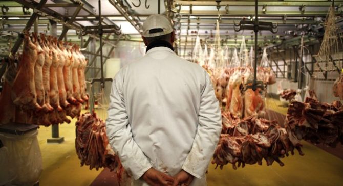 В Великобритании из-за нехватки мясников туши начали вывозить за границу.