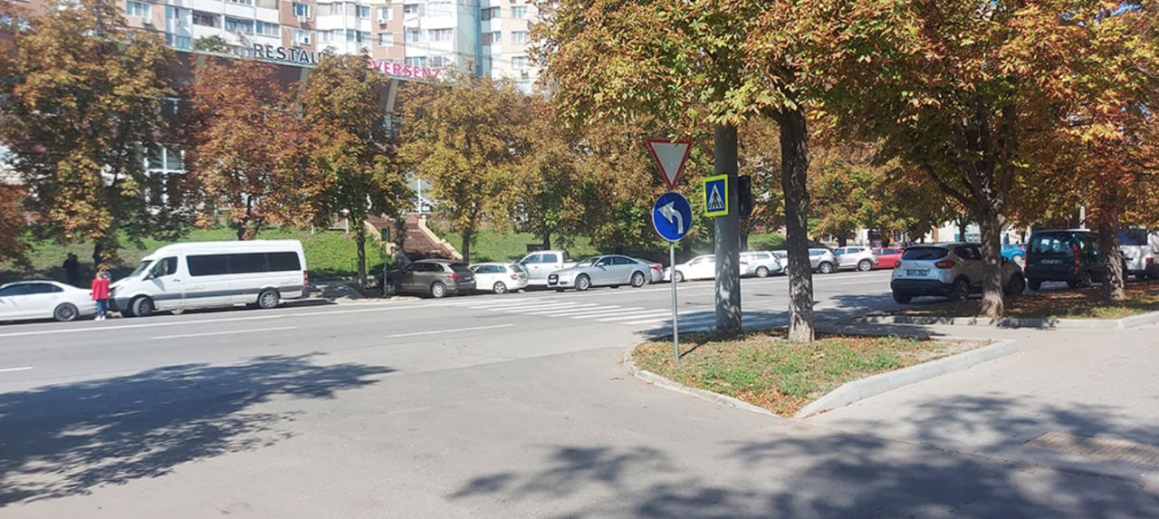 На Московском проспекте установили вводящий в заблуждение дорожный знак.