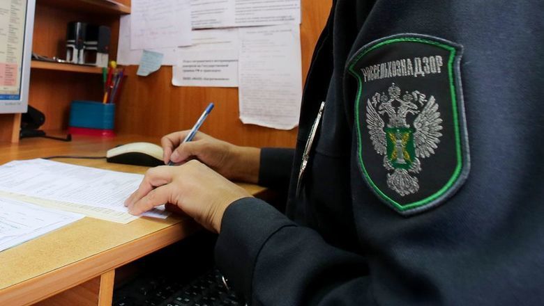 Российская служба сообщила, что лабораторный анализ образцов, взятых во время инспекции, продолжается.