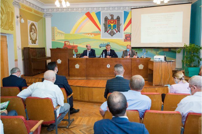 Правительство утвердит план по восстановлению сектора семеноводства. Фото: moldpres.md.