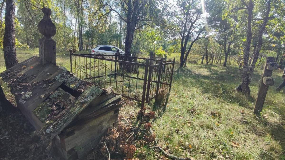 На кладбищах вокруг Чернобыля растут деревья со стволами больше 5 метров в обхвате.