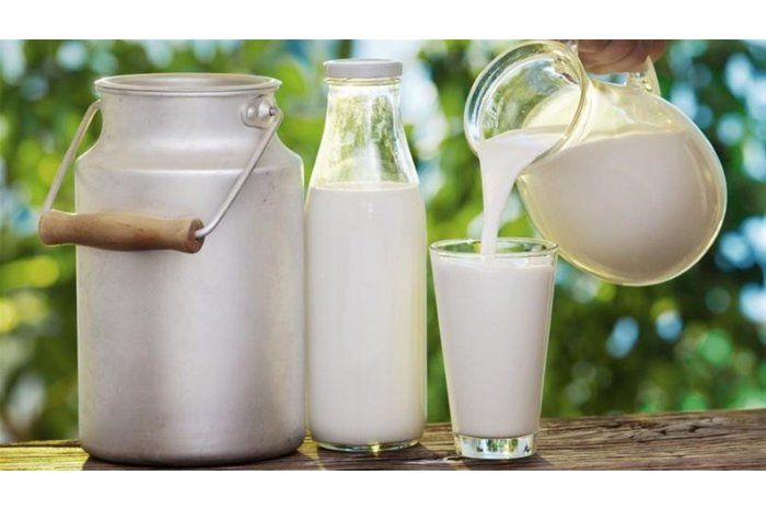 Молдова может экспортировать молочную продукцию в ЕС.