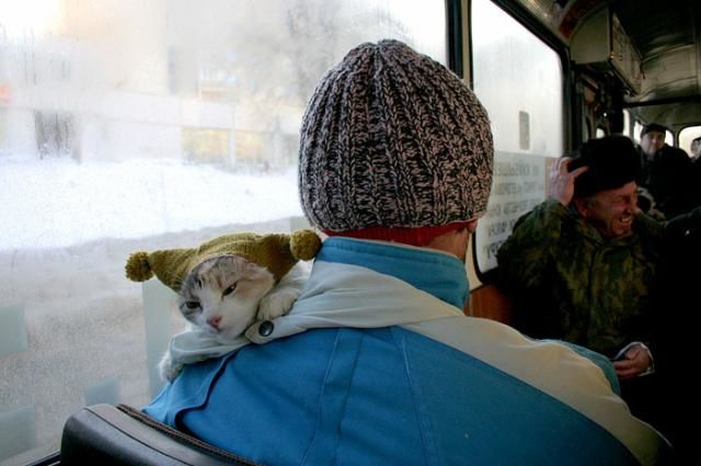 Минувшая ночь стала самой холодной с начала зимы.