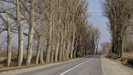 Большую часть средств - 755 миллионов леев - направят на покрытие затрат по техобслуживанию и ремонту дорог.