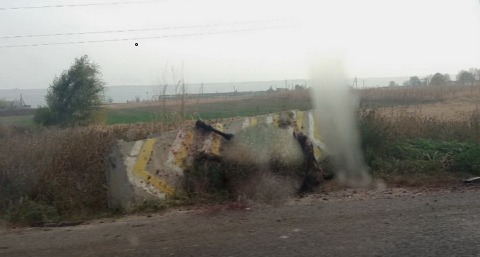 В Гагаузии корова стала причиной столкновения двух автомобилей.