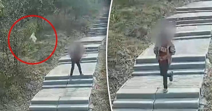 Неизвестный хулиган забросал камнями несколько видеокамер в Ниспоренах.