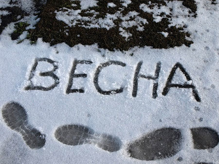 Прошедшая неделя была необычайно холодной.