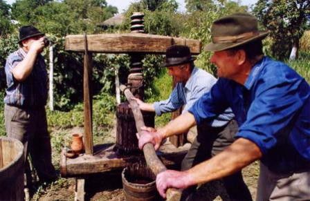 Struguri dulci, vin tare! Temperaturile benefice pentru viticultori. Foto: Le Blog d'Elisabeth Poulain