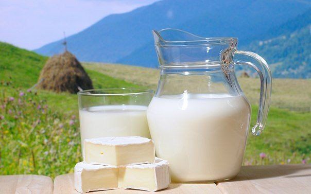 Последний раз молочные продукты дорожали в позапрошлом году. Фото: liveinternet.ru