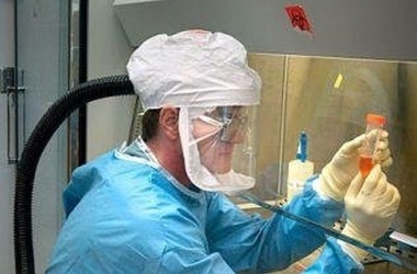 Первая смерть от птичьего гриппа H5N1 зафиксирована в Канаде. Фото: Scientific American