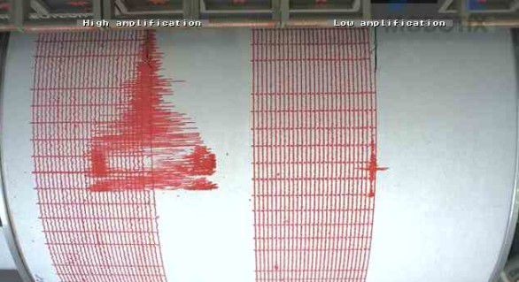 Un seism cu magnitudinea de 4,4 pe scara Richter a avut loc, joi dimineaţă.