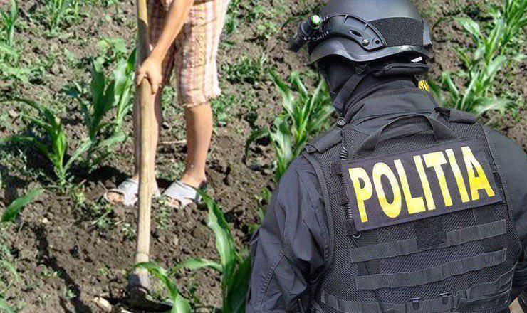 Трудные подростки из Германии попадали в трудовое рабство в Румынии.