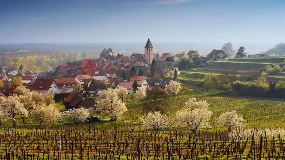 Germania vrea să transforme sate întregi în hoteluri pentru turiști.