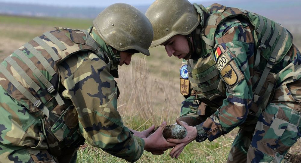 Саперы обратились к жителям страны в связи с трагедией в Криулянах