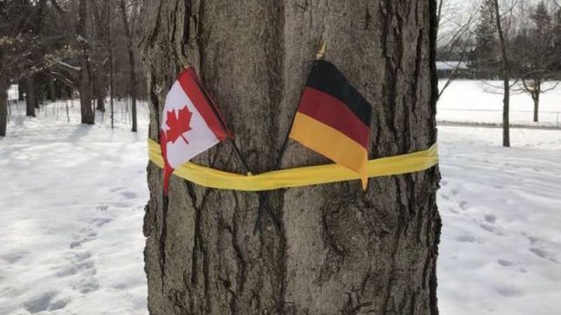 Oficialii canadieni confundă Belgia cu Germania. 