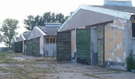 De la independenţă încoace, capitalul străin nu s-a arătat niciodată deosebit de atras de „bogăţiile” Moldovei, evitând sistematic sectorul real al economiei.