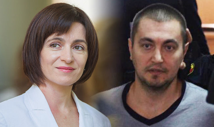Scrisoare de la Platon. Sandu: Vreau să-l liniștesc, nu am pisică. Foto: Colaj Point