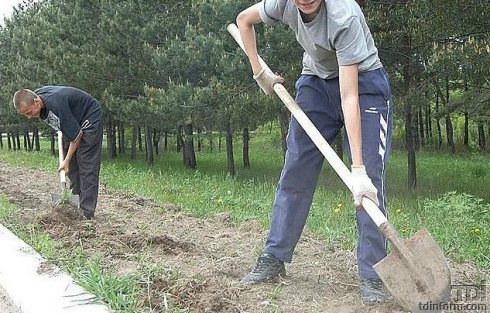 В Каменке этим летом уже трудоустроено 9 школьников.