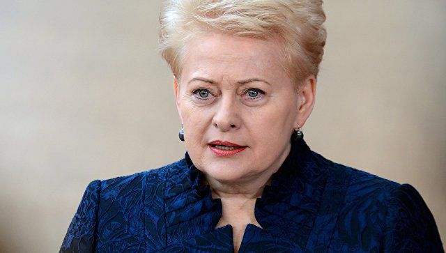 Глава Литвы призвала ЕС создать силы быстрого реагирования на кибератаки.