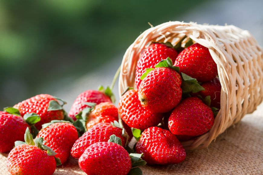Aceste fructe proaspete își păstrează la maximum nivelul nutrienților timp de 48 de ore de la recoltare.