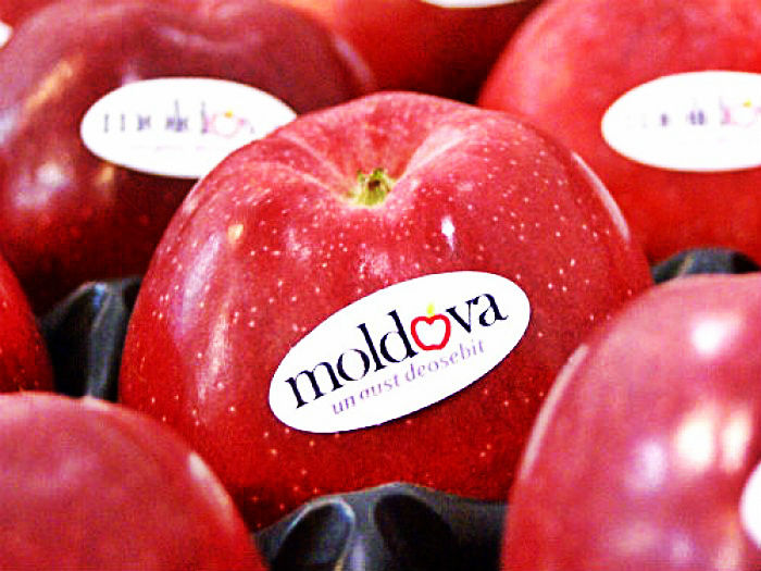 În realitate, niciun fruct din Republica Moldova nu a ajuns în magazinele din Minsk sau Borisov.
