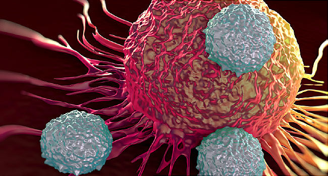 O echipă de cercetători ar fi descoperit de ce apare cancerul. Foto: WebMD