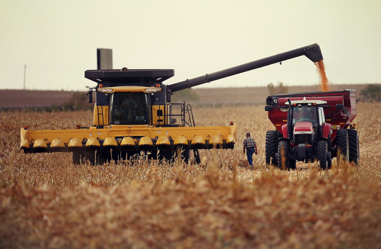 Producția agricolă în Moldova a crescut într-un an cu 3,7%.