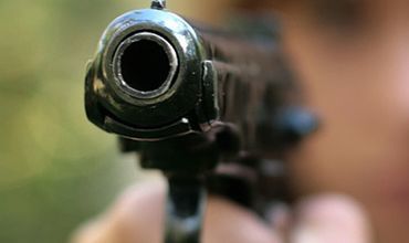 Представлена статистика преступлений с применением  огнестрельного оружия.