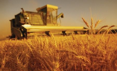 Agricultorii pot depune cereri pentru subvenţii până pe 31 octombrie 2016. Foto: Provincial