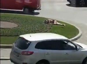 Несмотря на прохладное утро 5 апреля мужчина решил принять солнечные ванны.