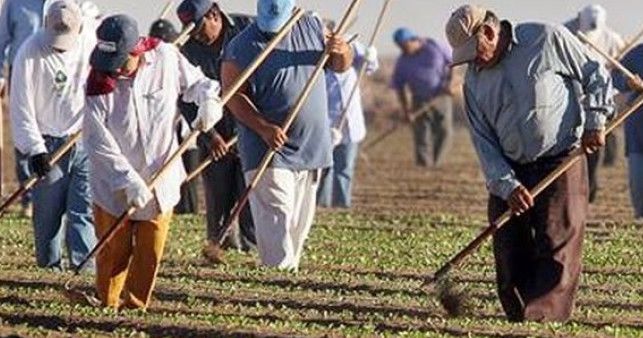 Şapte cetăţeni moldoveni, ţinuţi în sclavie în Federaţia Rusă. Foto: moldova.org