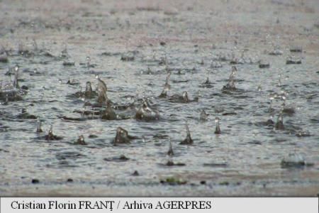 Cel puțin 14 morți în Niger și 11 în Coasta de Fildeș din cauza ploilor torențiale. 
