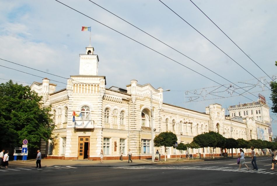 Primăria este acuzată de defrișări ilegale. Acuzațiile vin din partea PSRM. Foto:chisinau.md