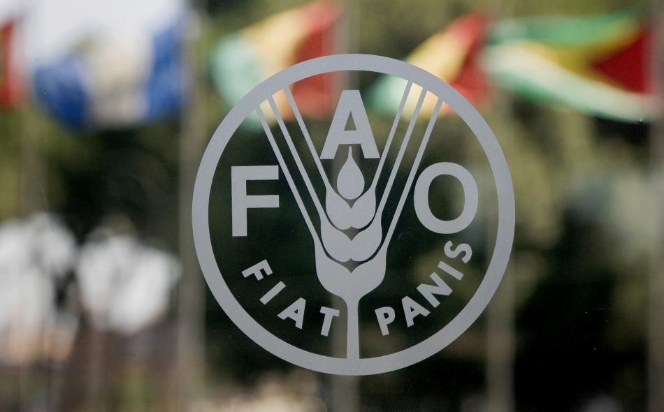 MADRM: Rezultatele subventionarii in agricultura. Foto: Institute for Agriculture and Trade Policy
