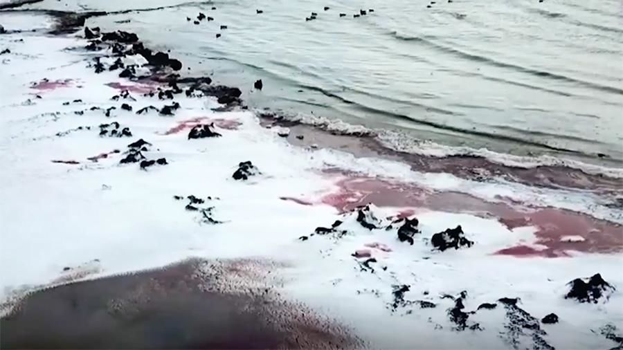 Биолог объяснил покраснение воды в Каспийском море.
