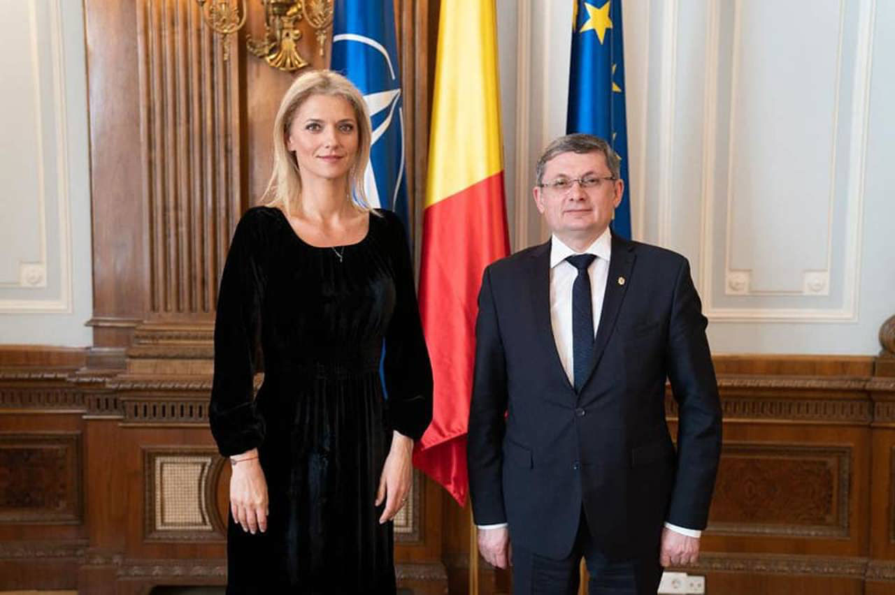 Временный председатель сената Румынии Алина-Штефания Горгиу провела переговоры с Игорем Гросу.