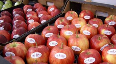 Rusia trebuie să renunţe la  embargoul impus Moldovei şi să reia importul de vinuri, carne şi produse agricole.